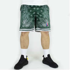 Баскетбольні шорти HighWay